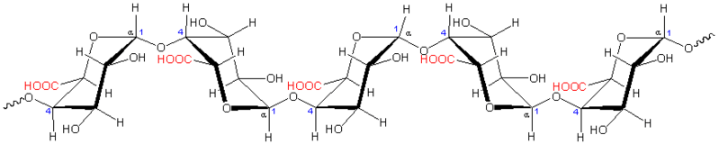 Schéma de la structure d'une molécule de Pectine de Citrus