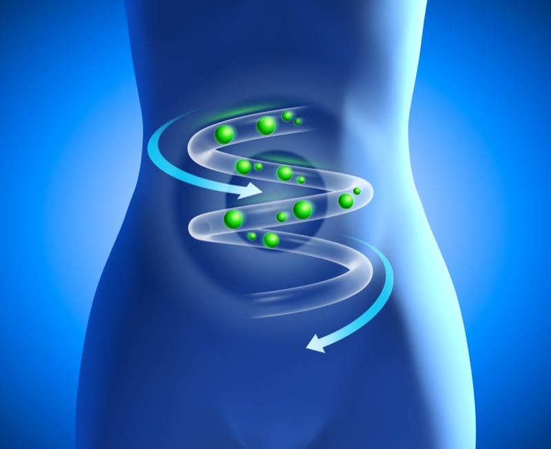 Probiotiques, ces bonnes bactéries intestinales essentielles à votre bonne immunité