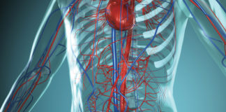 Maladies cardiovasculaires