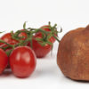 melograno e pomodori