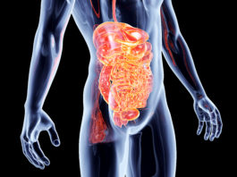 Quel régime adopter en cas de gastro-entérite ?