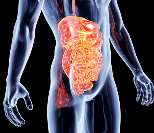 Quel régime adopter en cas de gastro-entérite ?