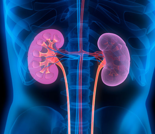 Acidose – mythe ou vrai problème ? (partie 2/3)