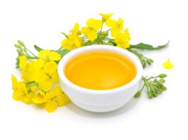 L’huile de colza, l’amie de l’huile d’olive