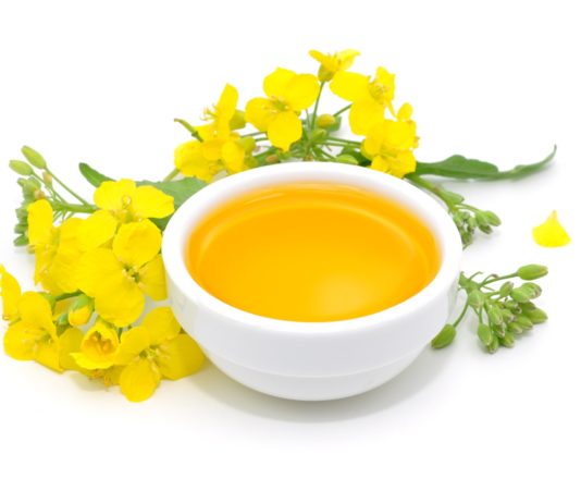 L’huile de colza, l’amie de l’huile d’olive