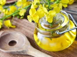 Les huiles végétales super riches en oméga-3