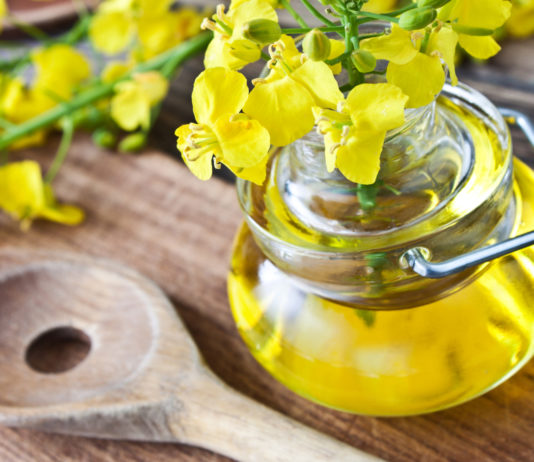 Les huiles végétales super riches en oméga-3