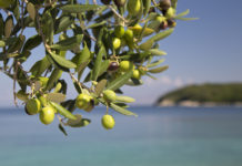 Le magazine « Femmes d’aujourd’hui » parle d’O.P.