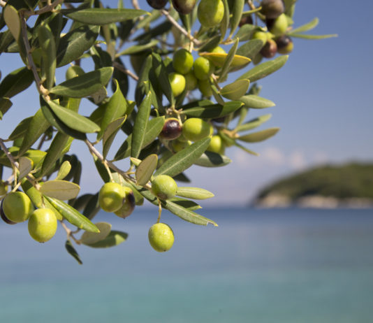 Le magazine « Femmes d’aujourd’hui » parle d’O.P.