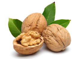 Des noix pour le cerveau : une évidence