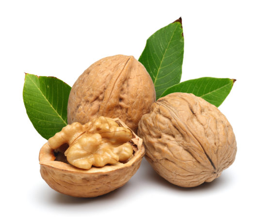 Des noix pour le cerveau : une évidence