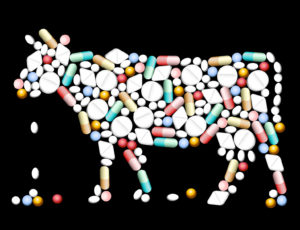 Tablets Pills Cow