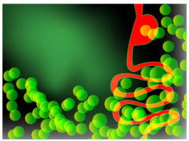 Pourquoi prendre des probiotiques avec les antibiotiques?