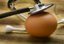 Le grand débat du jaune d’œuf et du cholestérol