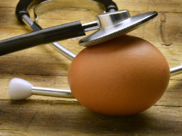 Le grand débat du jaune d’œuf et du cholestérol