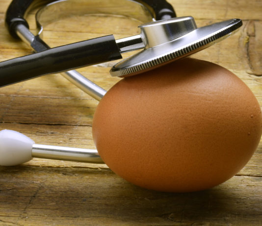 Le grand débat du jaune d’œuf et du cholestérol