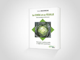 Le chou et sa feuille