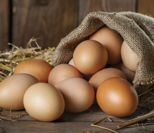 Les œufs de filière oméga-3 : le meilleur choix