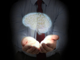 Taurine : mieux la connaître est une nécessité