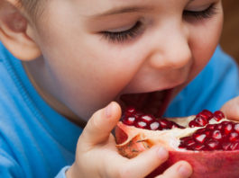 La grenade révèle une puissante molécule anti-vieillissement