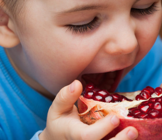 La grenade révèle une puissante molécule anti-vieillissement