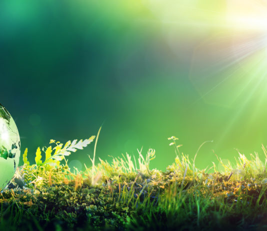 L’éveil des consciences… un nouveau monde en marche!