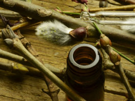 La gemmothérapie familiale