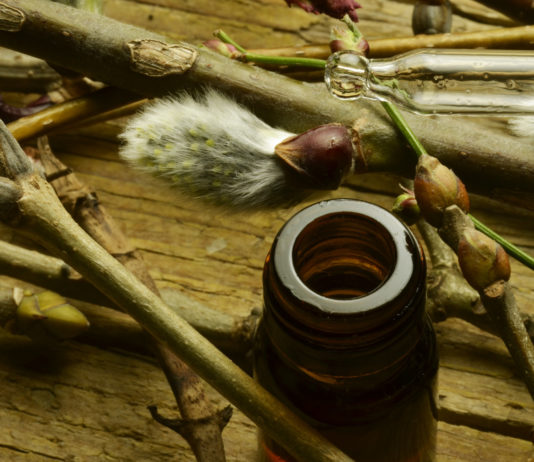 La gemmothérapie familiale