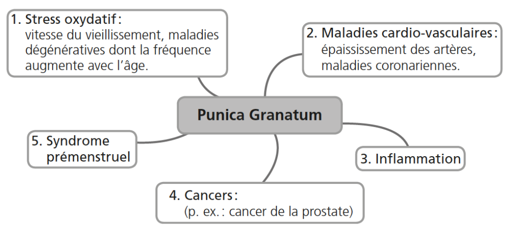 interets_sante_grenade