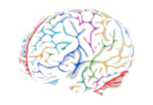 Boostez votre cerveau, à tout âge!