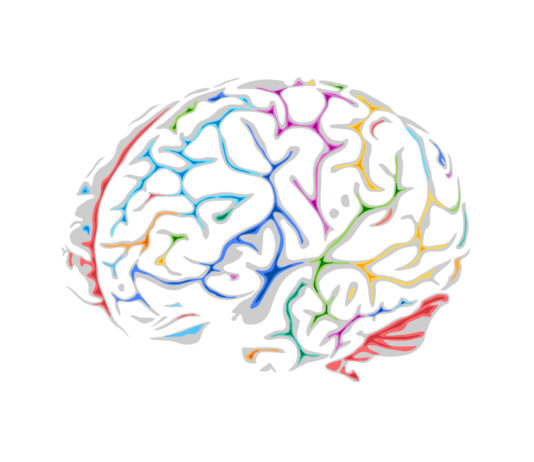 Boostez votre cerveau, à tout âge!