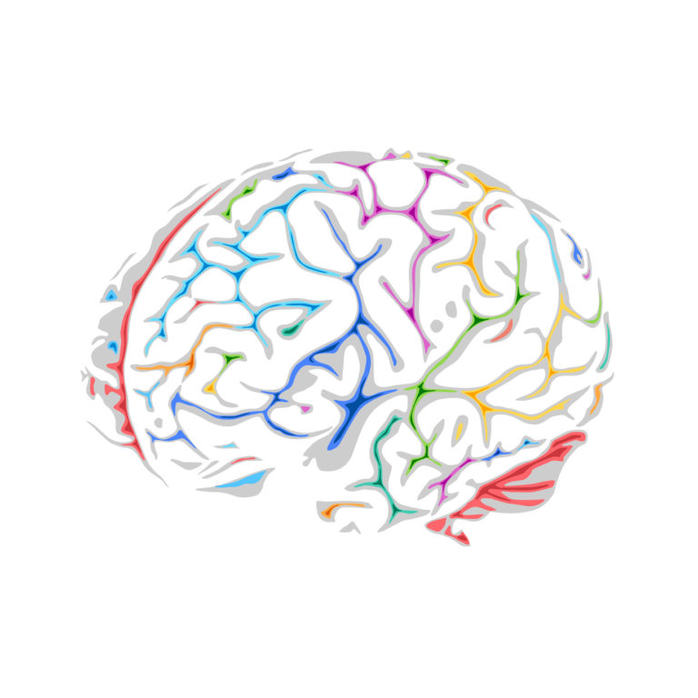 Boostez votre cerveau, à tout âge!