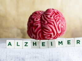 Du simple oubli à la maladie d’Alzheimer… (partie 1)