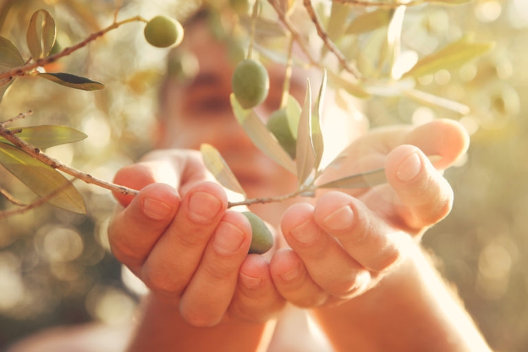 L’huile d’olive et ses effets contre le vieillissement