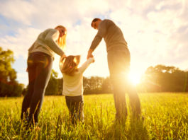 Une vitamine D produite à partir de la laine de mouton
