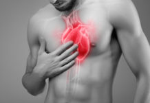 L’huile d’olive protège votre système cardiovasculaire