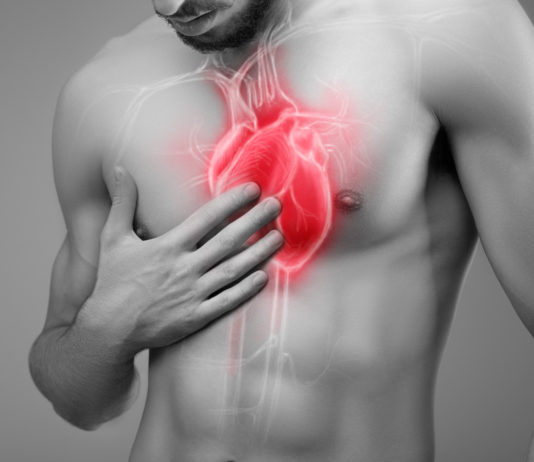 L’huile d’olive protège votre système cardiovasculaire