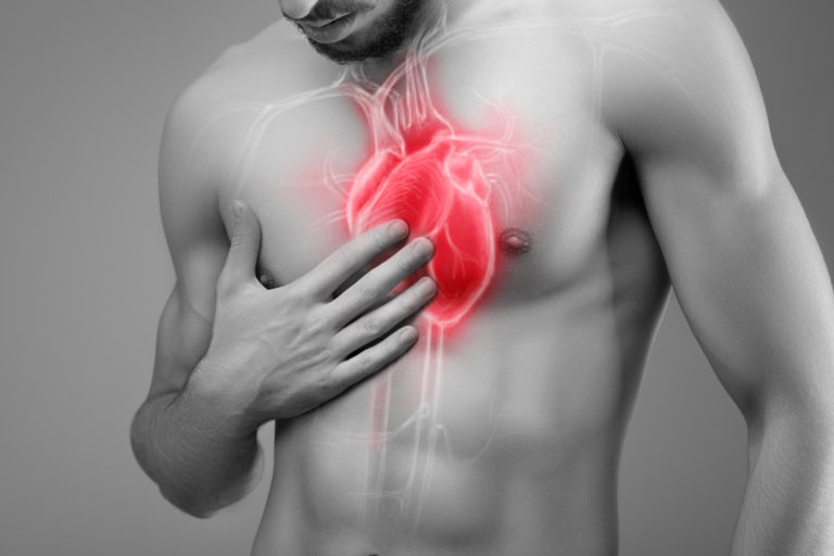 L’huile d’olive protège votre système cardiovasculaire