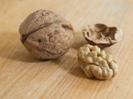 Les noix boostent vos bactéries intestinales