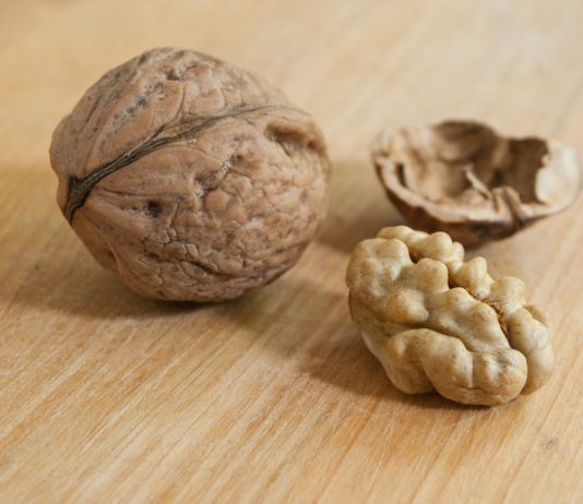 Les noix boostent vos bactéries intestinales