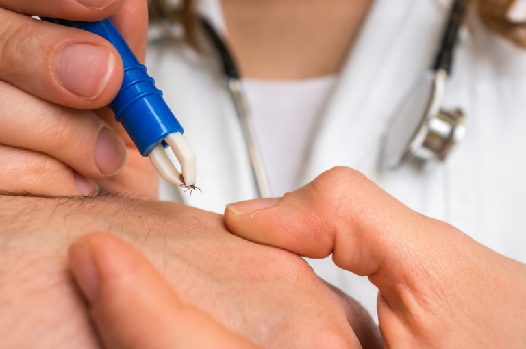 Lyme : « La psychose ne devrait pas être focalisée sur la maladie de Lyme mais sur nos modes de vie »
