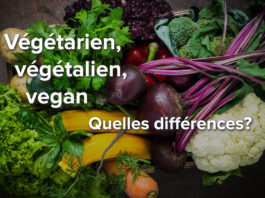 Qu’est ce qui se cache derrière les mots : « végétarien, végétalien, vegan » Végétarien, végétalien, vegan
