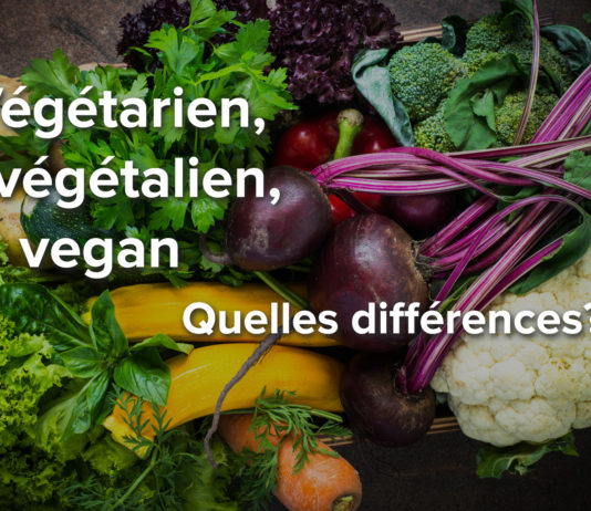 Qu’est ce qui se cache derrière les mots : « végétarien, végétalien, vegan » Végétarien, végétalien, vegan