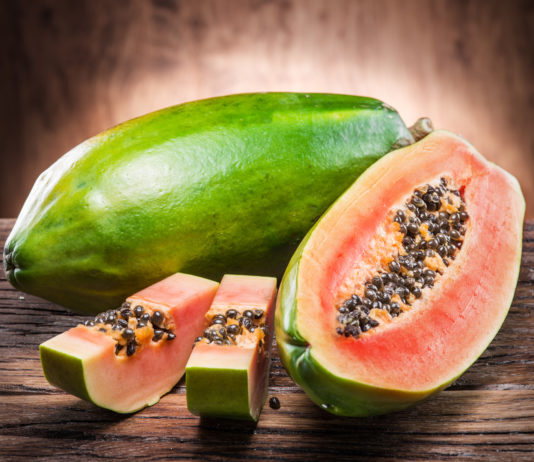 Les incroyables vertus de la papaye fermentée Les incroyables vertus de la papaye fermentée