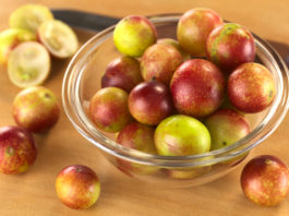 Camu Camu : le roi de la vitamine C Le fruit Camu Camu