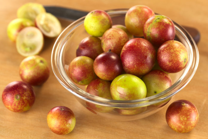 Le fruit Camu Camu