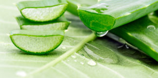 Aloe vera : 10 bienfaits pour votre santé