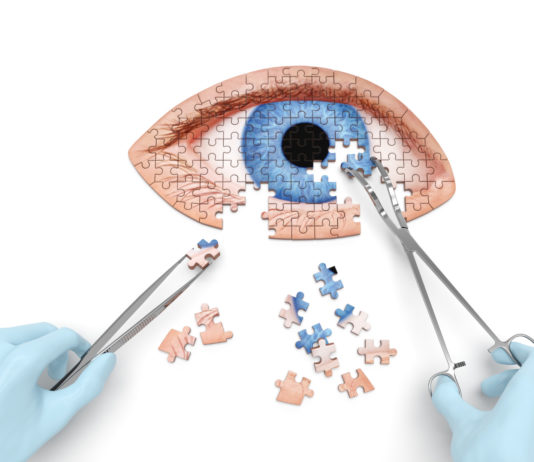 Homéopathie : une thérapie complémentaire aux soins de l’œil ? Homéopathie : une thérapie complémentaire aux soins de l’œil ?