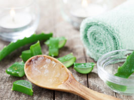 L’aloe vera, votre complice beauté au quotidien Cosmétiques Aloe Vera
