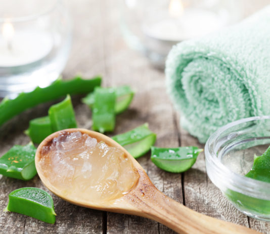 L’aloe vera, votre complice beauté au quotidien Cosmétiques Aloe Vera